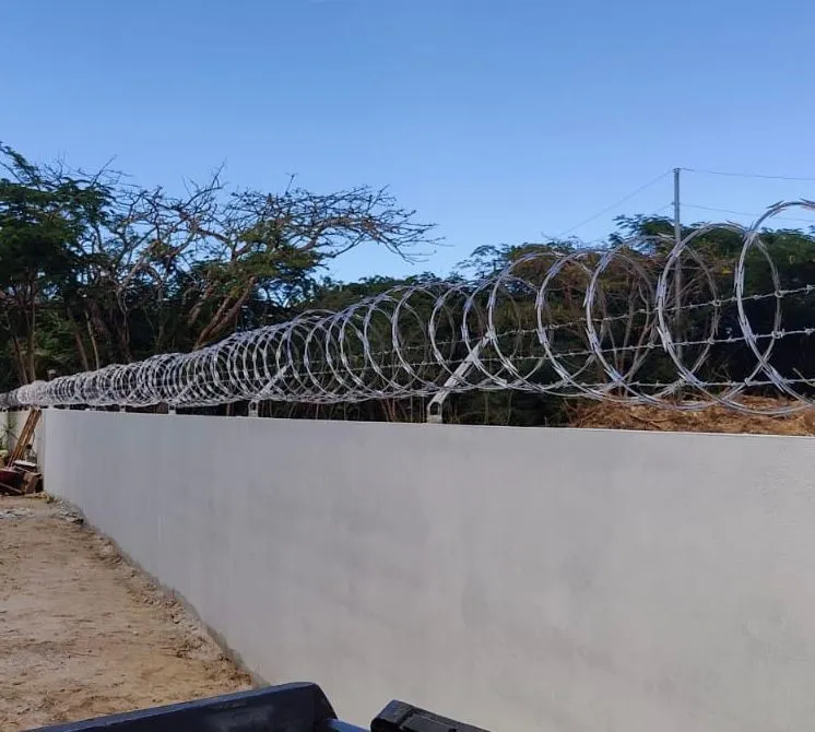razor wire 2_16_11zon